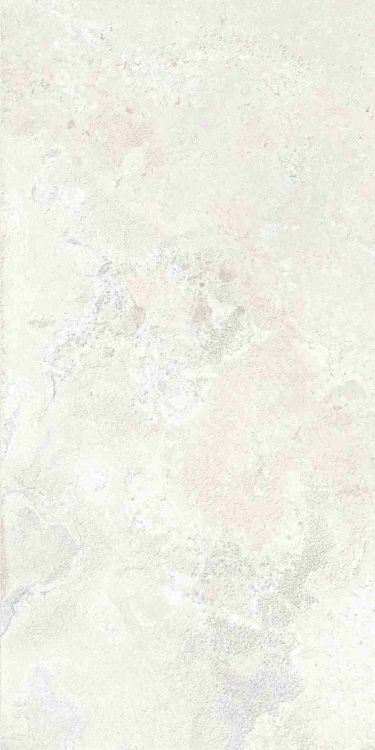 Petra Viva Bone Matte 12 x 24